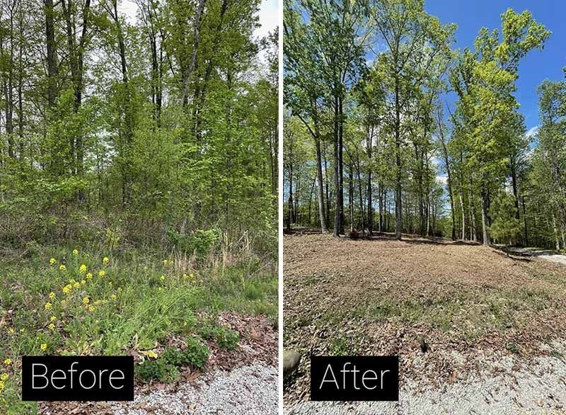 A split-screen view showing a wooded area overgrown with brush before clearing and the same area cleared of undergrowth.