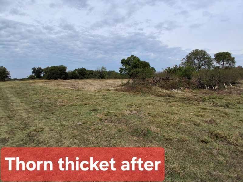 A rural landscape showing a cleared area next to a remaining brushy section, labeled 