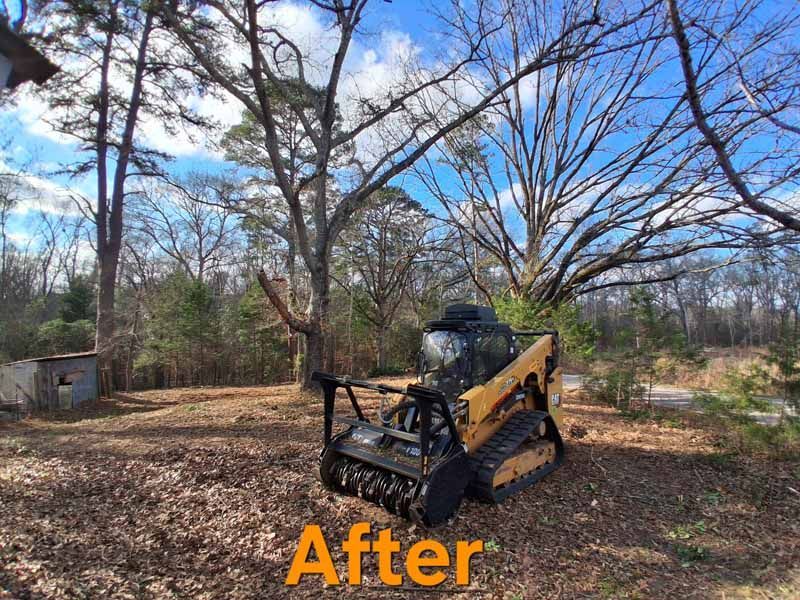 A yellow skid steer with a forestry mulcher attachment sits in a cleared, wooded area on a sunny day.