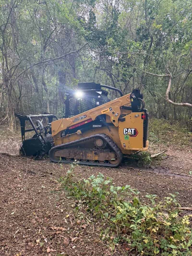 A yellow Caterpillar compact track loader with a forestry mulcher attachment clearing brush in a wooded area.