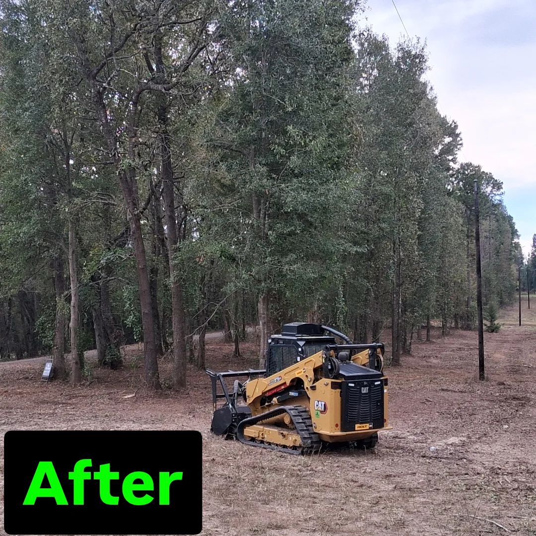 A yellow Caterpillar skid steer sits in a wooded area that has been cleared of brush, with an 