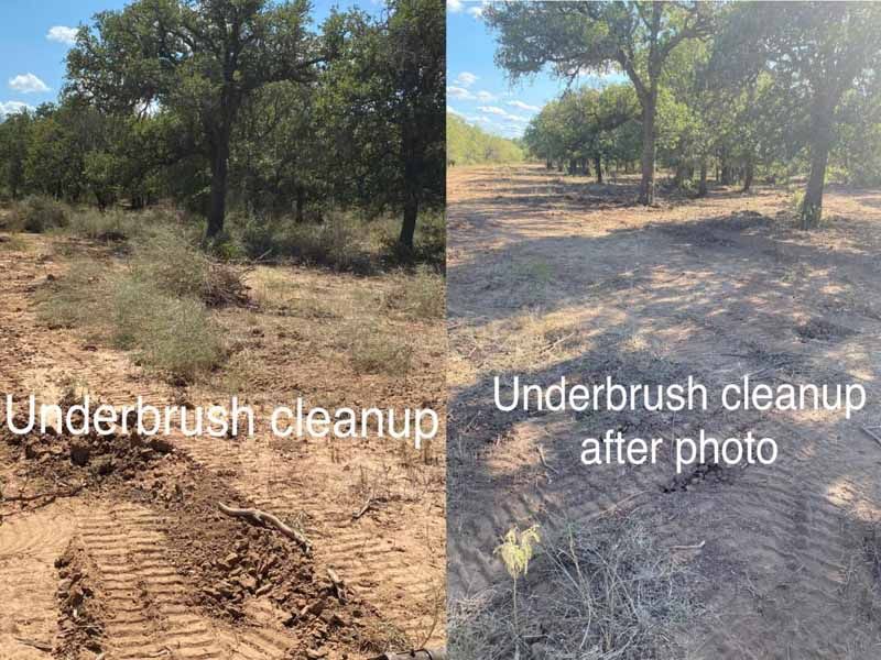 Before and after photos of a wooded area showing successful underbrush removal and cleared land.