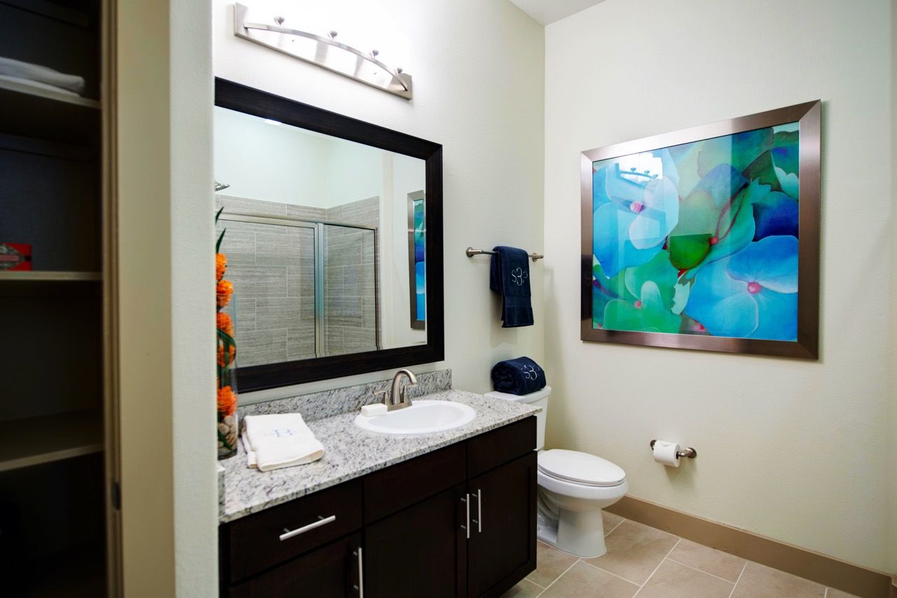 Bathroom with granite countertop vanity, sink, toilet, and a framed colorful abstract painting.