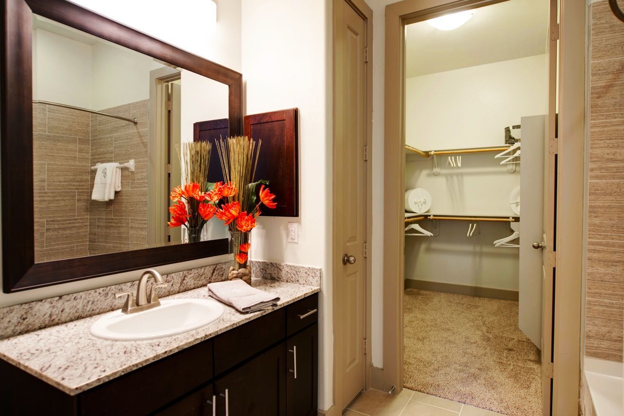 Bathroom vanity with granite countertop, large mirror, sink, and open walk-in closet with shelves.