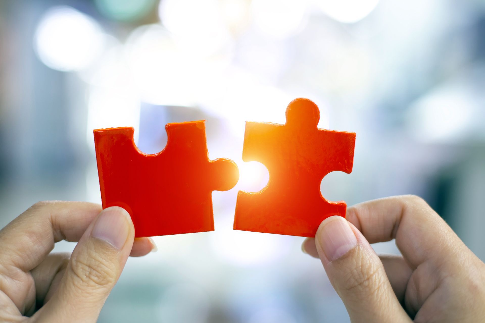 cooperativa sociale le amazzoni