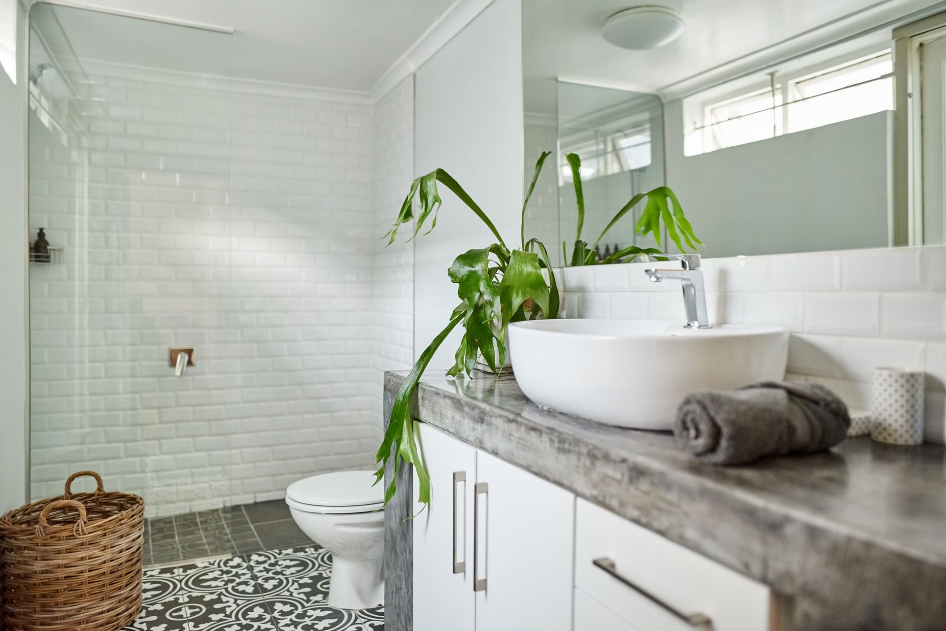 Contemporary bathroom interior, with white walls and counters, and a plant on the counter sink.