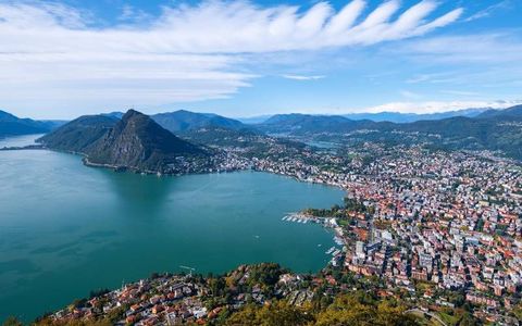 Investigatore Lugano Svizzera