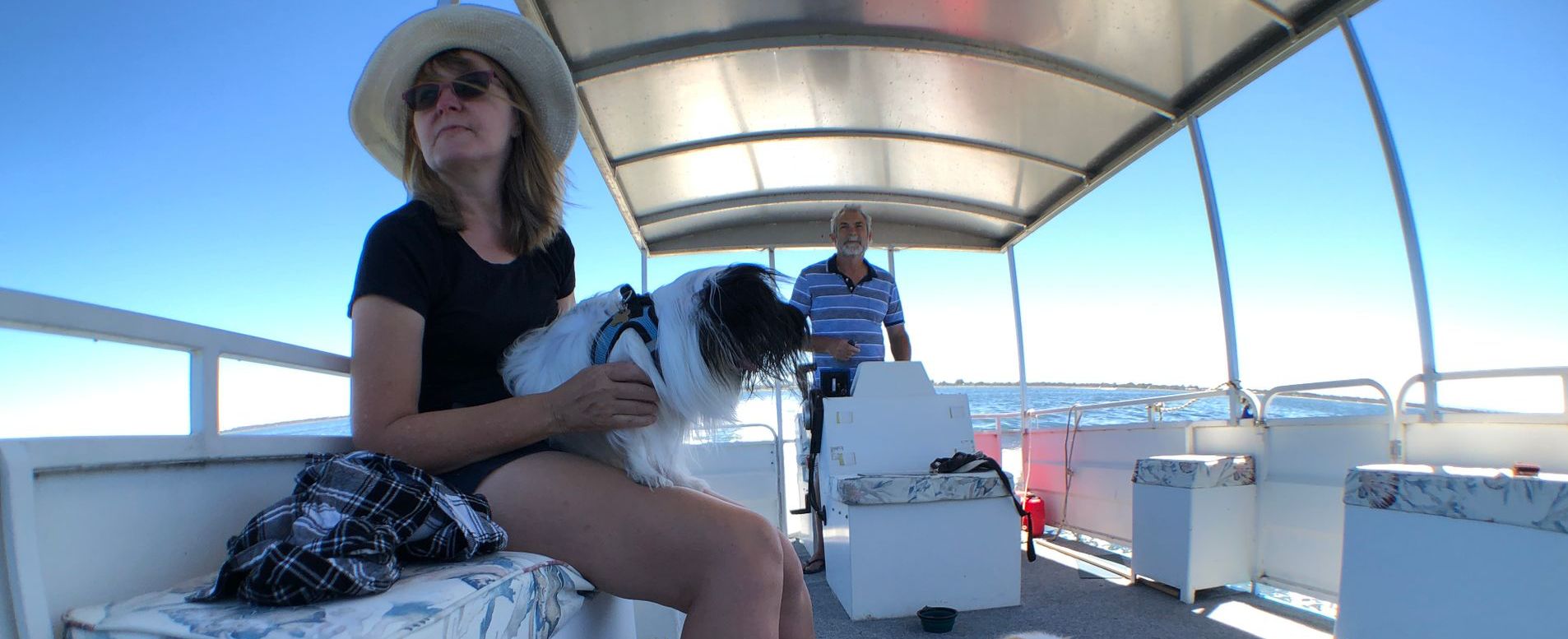 Sailing on the river on a sunny day