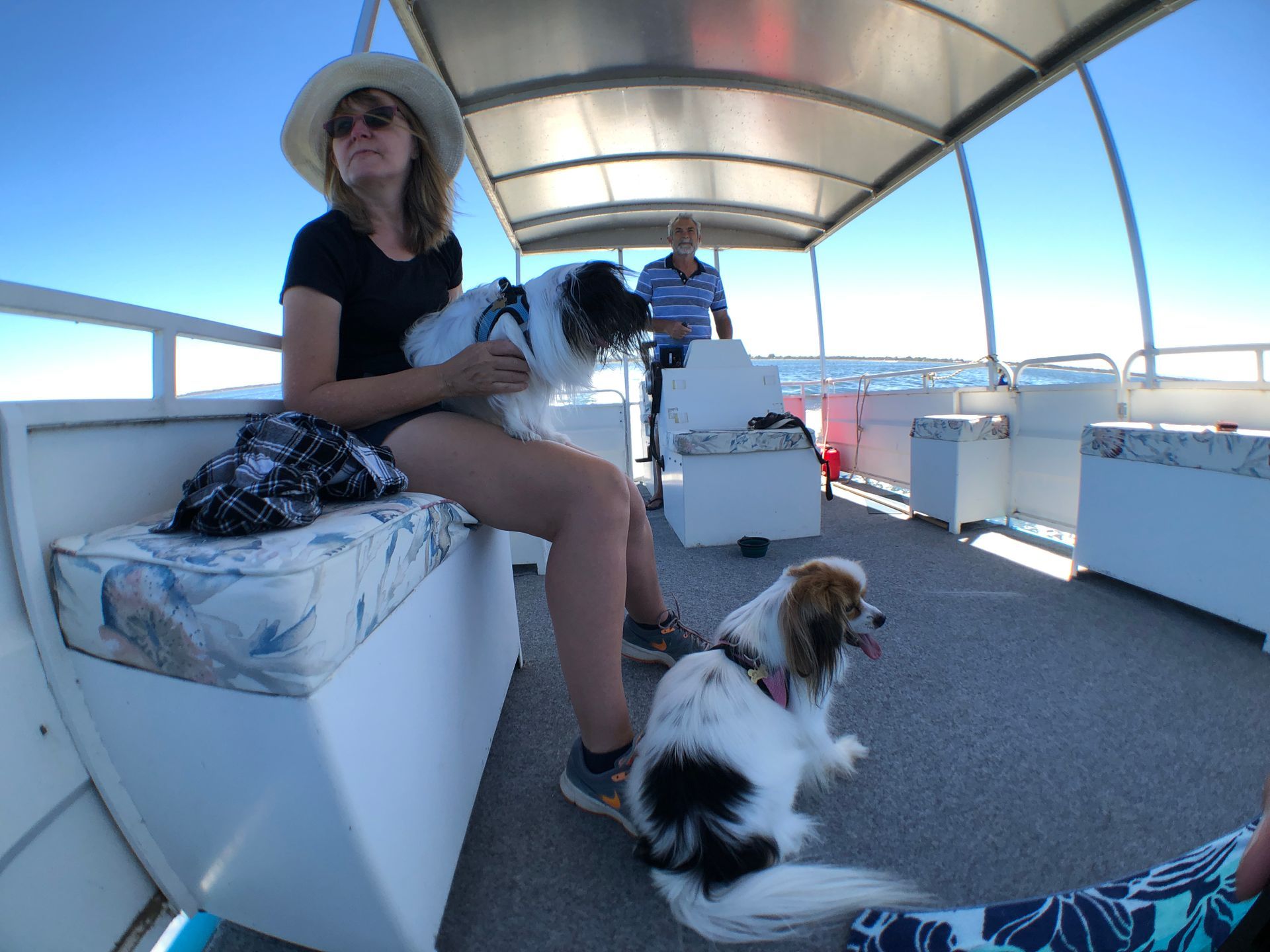 Sailing on a boat on a sunny day.