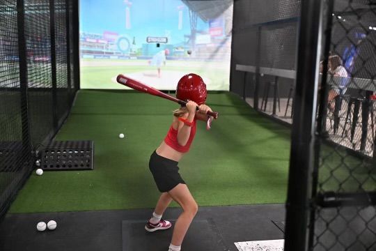 Baseball batting cage