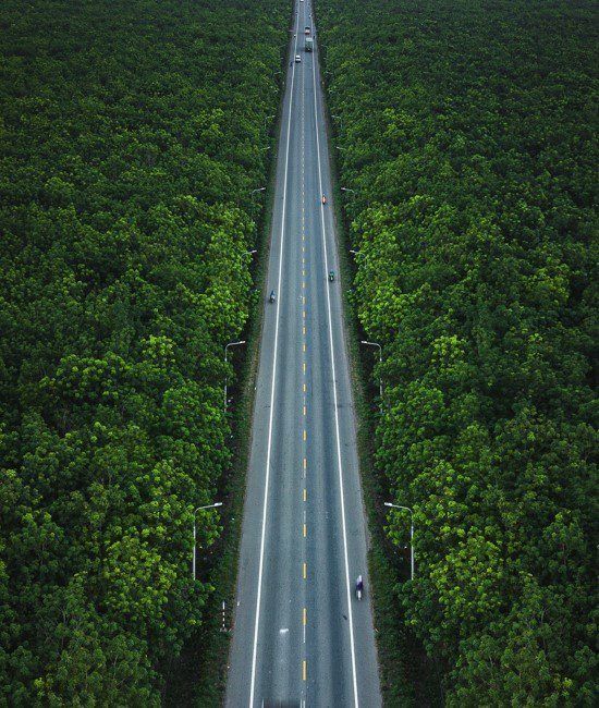 An aerial view shows a straight, multi-lane highway stretching through a dense, green forest.