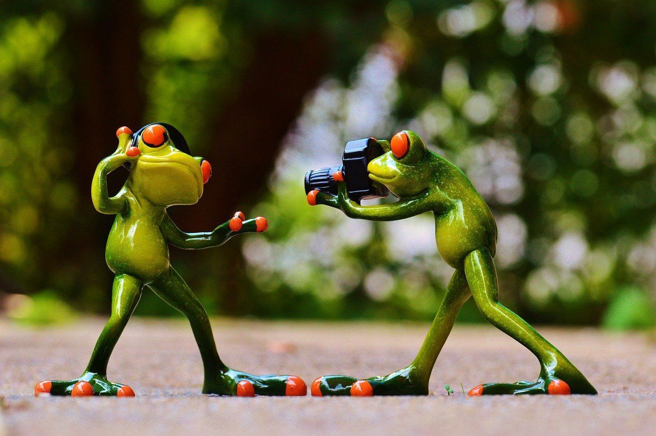 Two green frog figurines: one posing, the other holding a camera, outside.