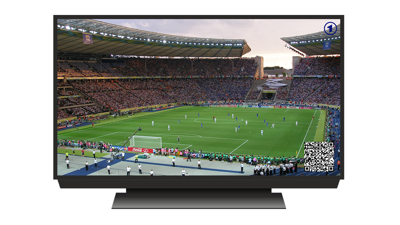 TV screen displaying a soccer game in a packed stadium. Green field, players, and cheering crowd are visible.