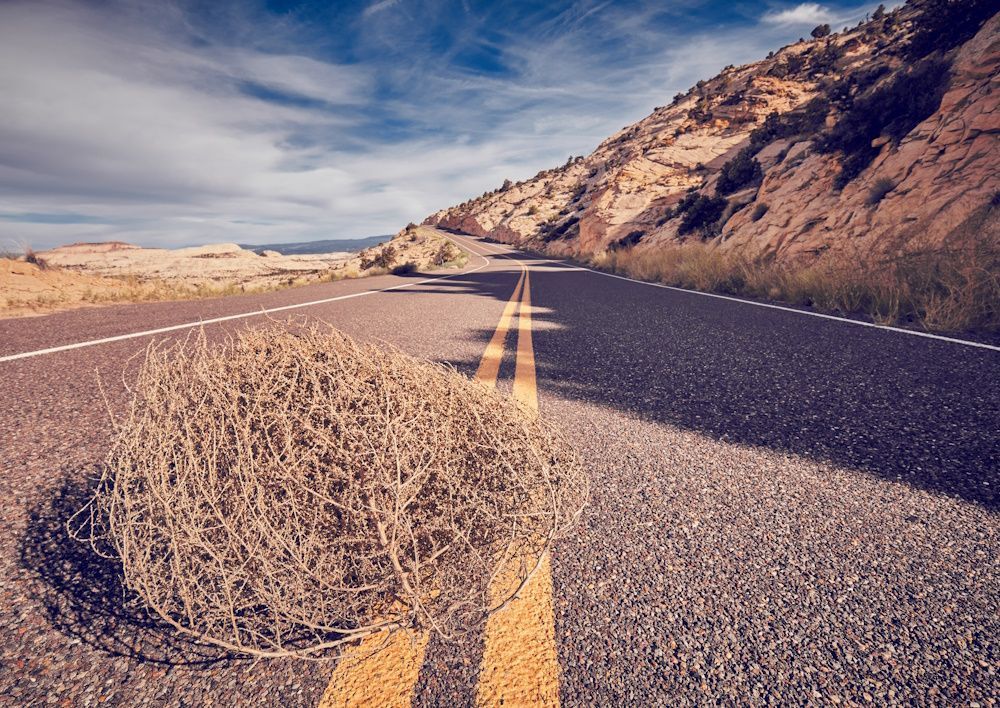Tumbleweed on a desert road with yellow lines, mountains, and a blue sky.