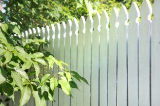 Newly painted white picket fence in a residential property with lots of trees in Hobart TAS.