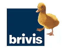 Brivis