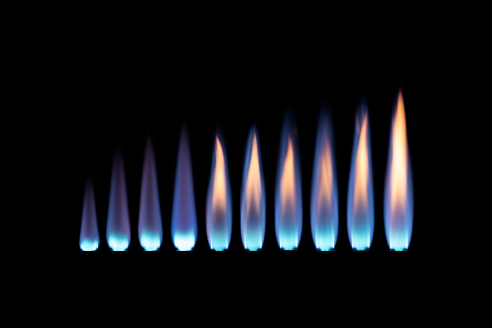 A row of blue flames on a black background. A row of blue flames on a black background.