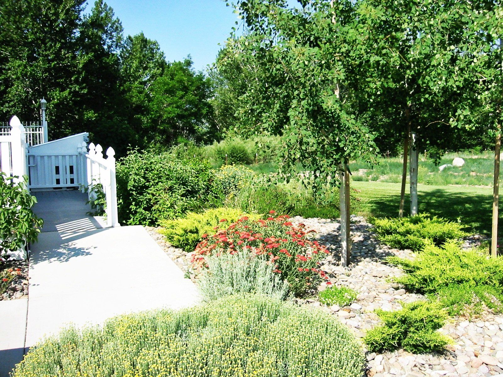 A white fence is surrounded by trees and bushes