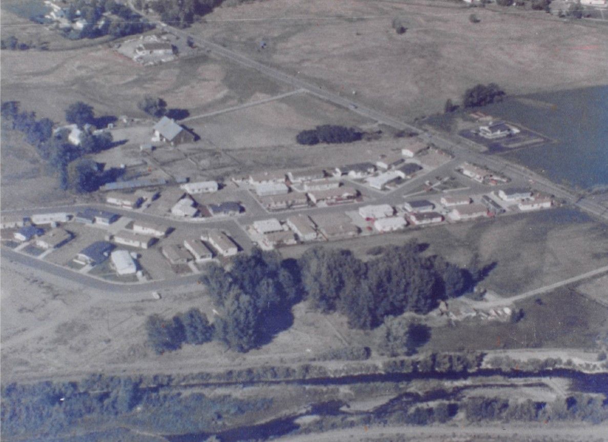 An aerial view of a small town with a lot of houses and trees