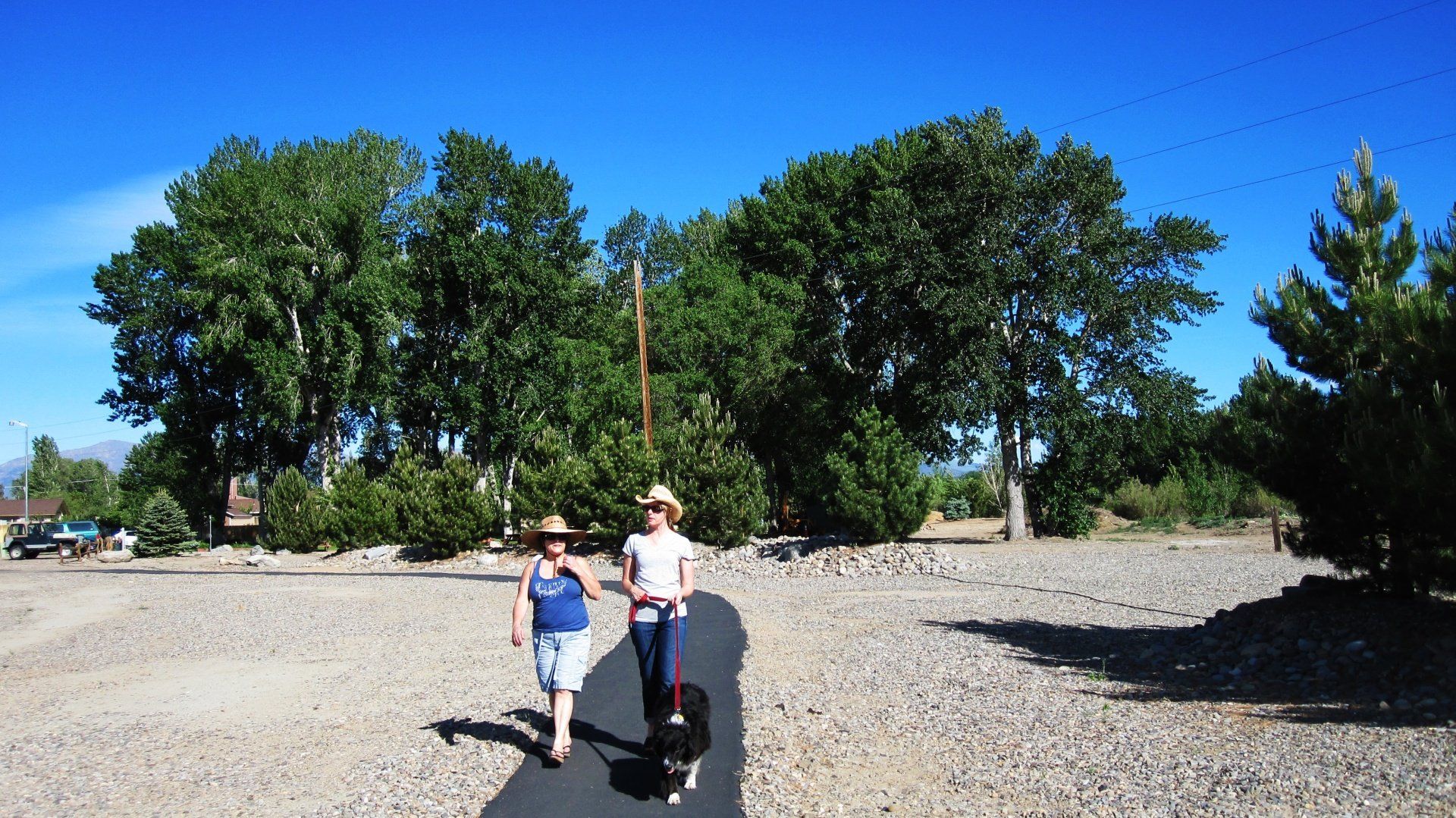 Two people walking a dog on a gravel road