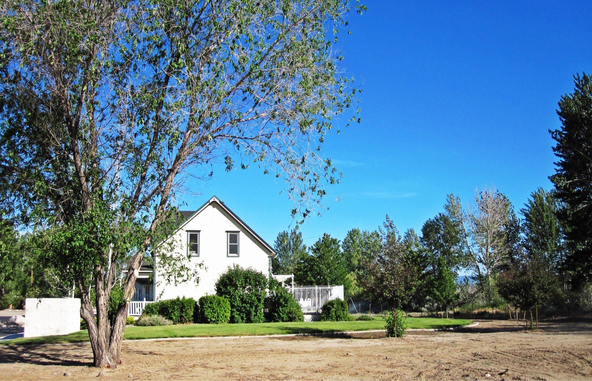 A white house is surrounded by trees on a sunny day
