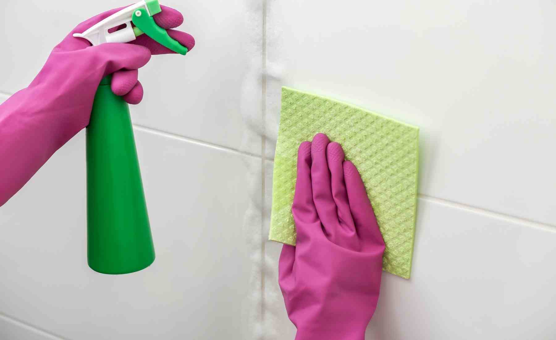 limpiar paredes baño valladolid