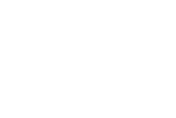 The Line Lofts Logo