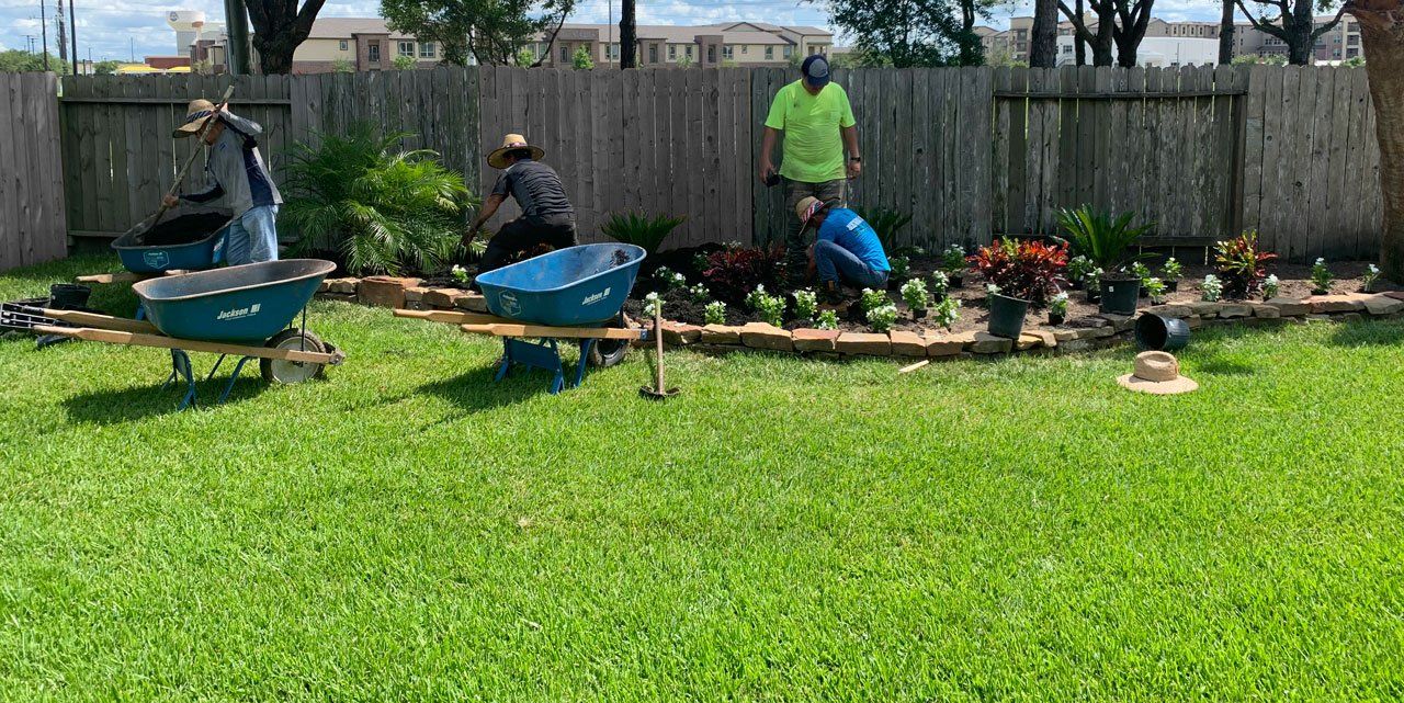 A group of people are working in a backyard with wheelbarrows.