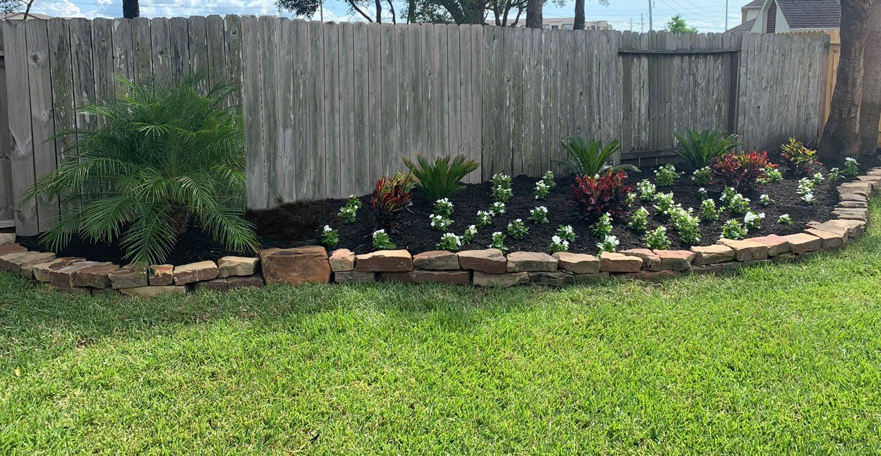 There is a fence in the background and a garden in the foreground.