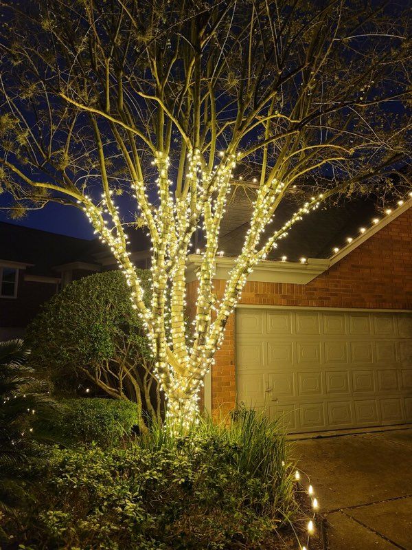 A tree is decorated with christmas lights in front of a house.