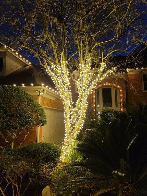 A tree is decorated with christmas lights in front of a house.