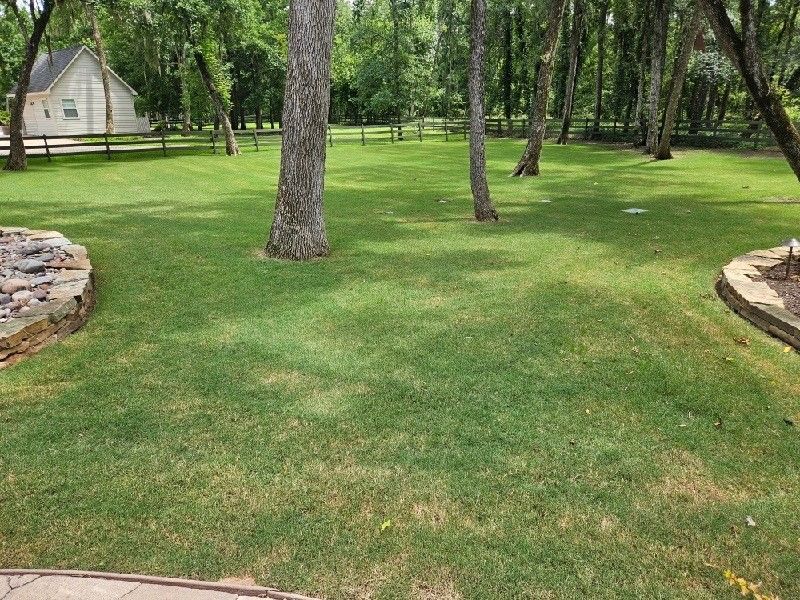 A lush green lawn with trees and a house in the background.