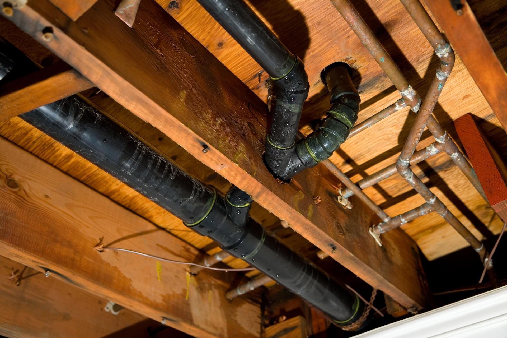 Black plumbing pipes and copper pipes run across wood beams in a ceiling.