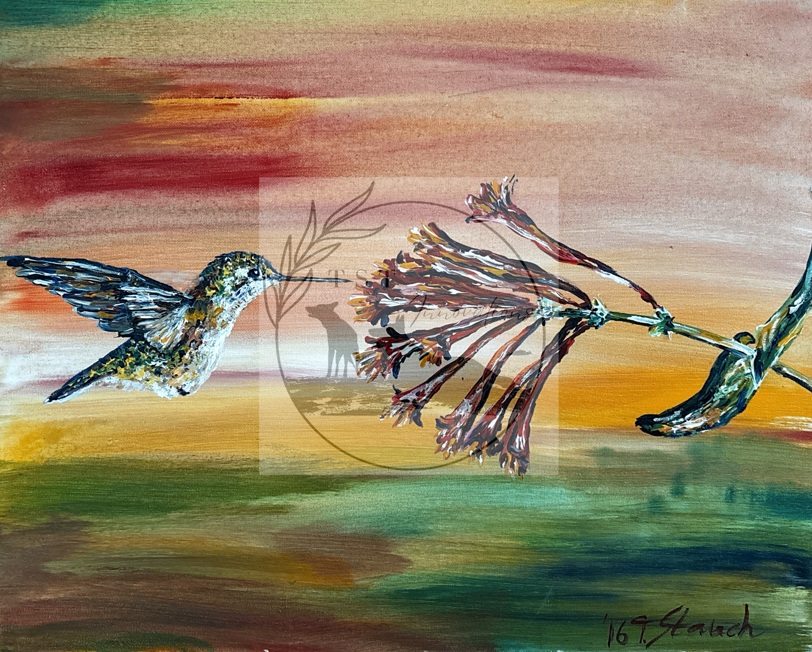 the feeding hummingbird