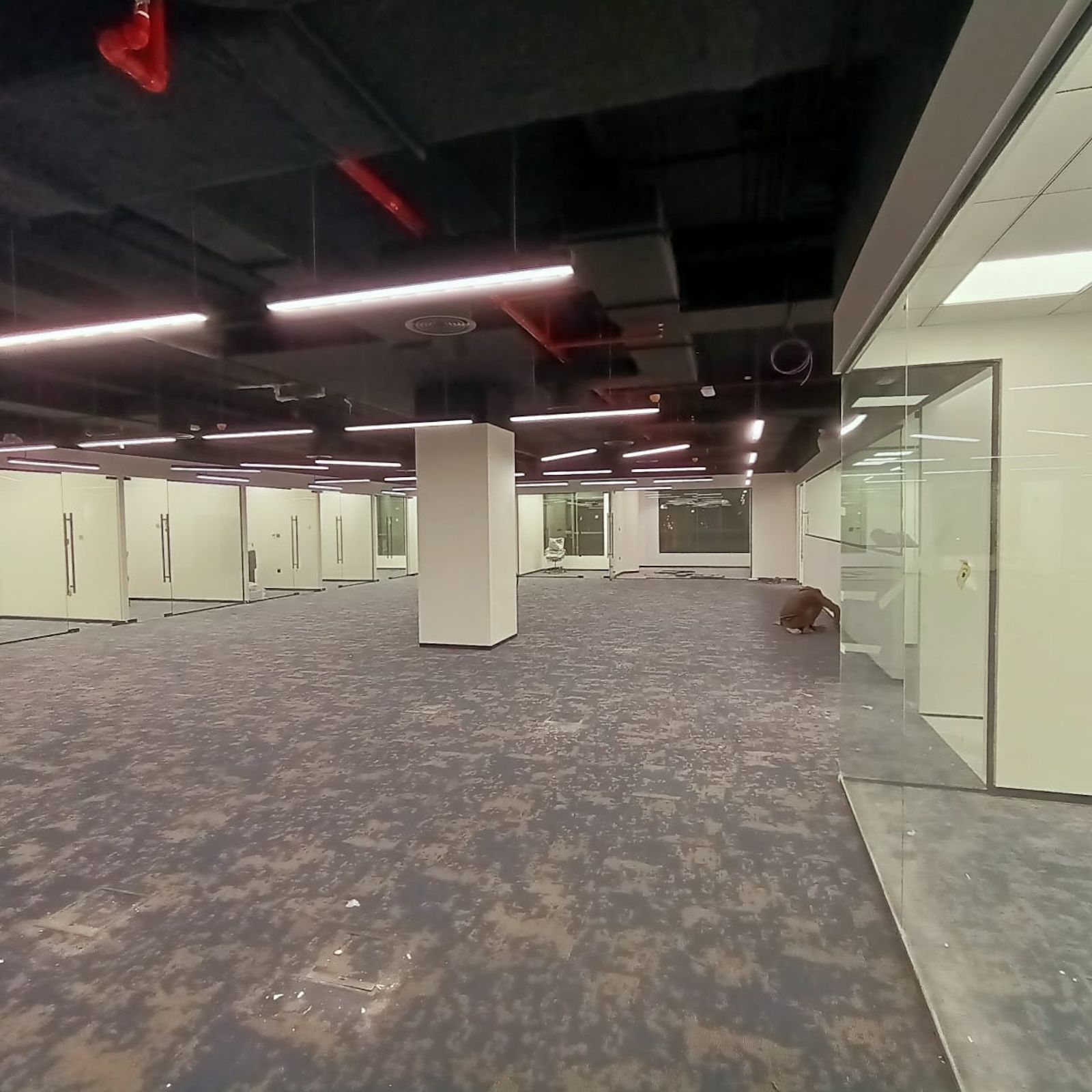 open space and open ceiling for corporate office at Dubai. Design and build by Concept Art Decor