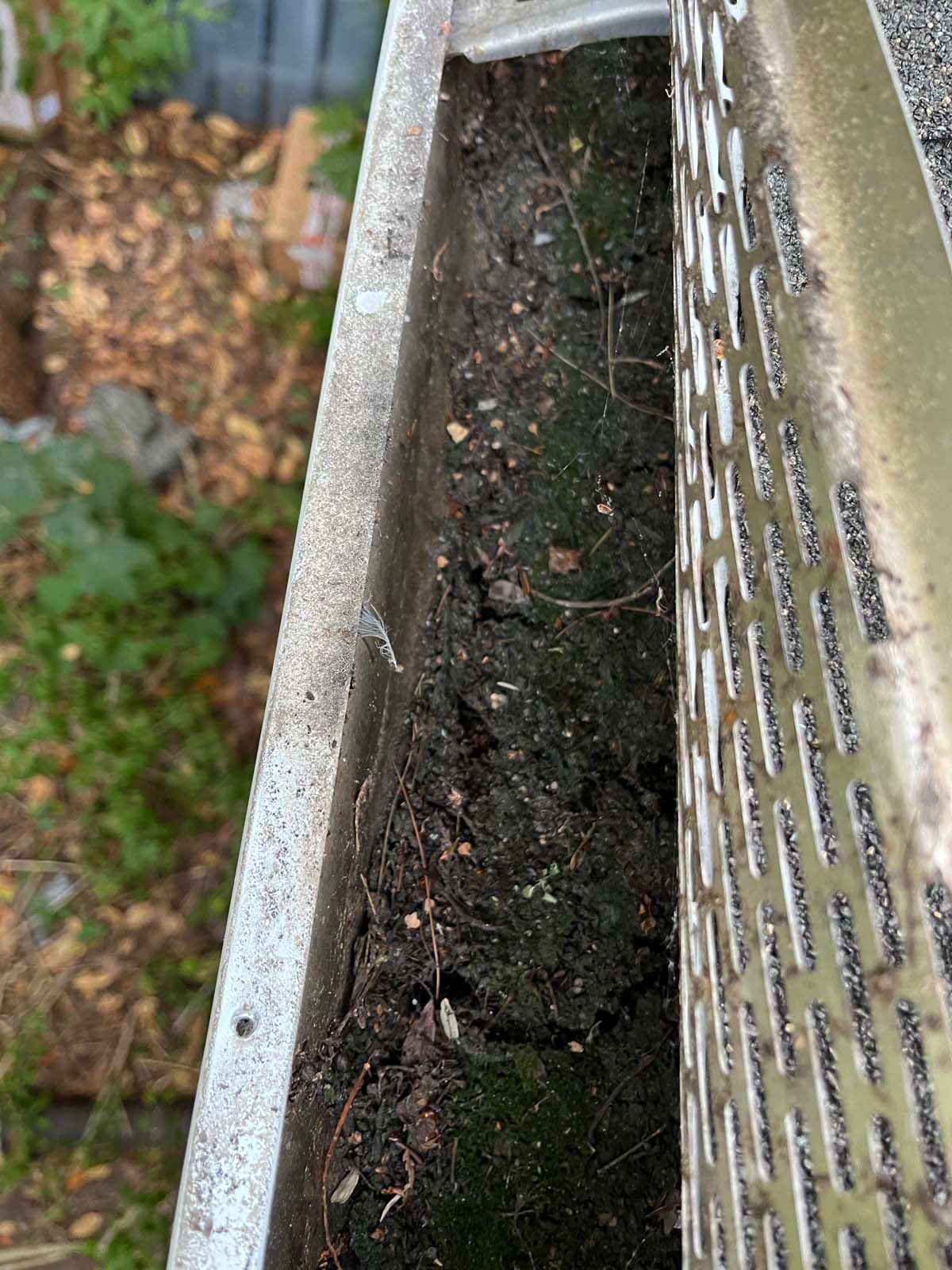 A close up of a gutter filled with dirt and moss.
