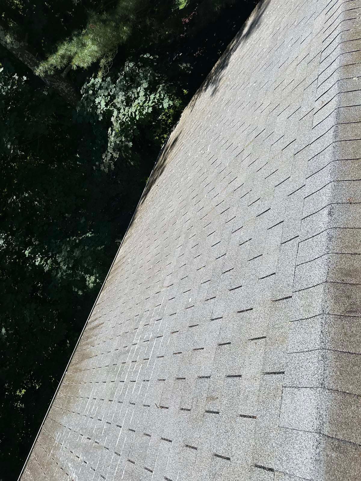 A close up of a roof with trees in the background.