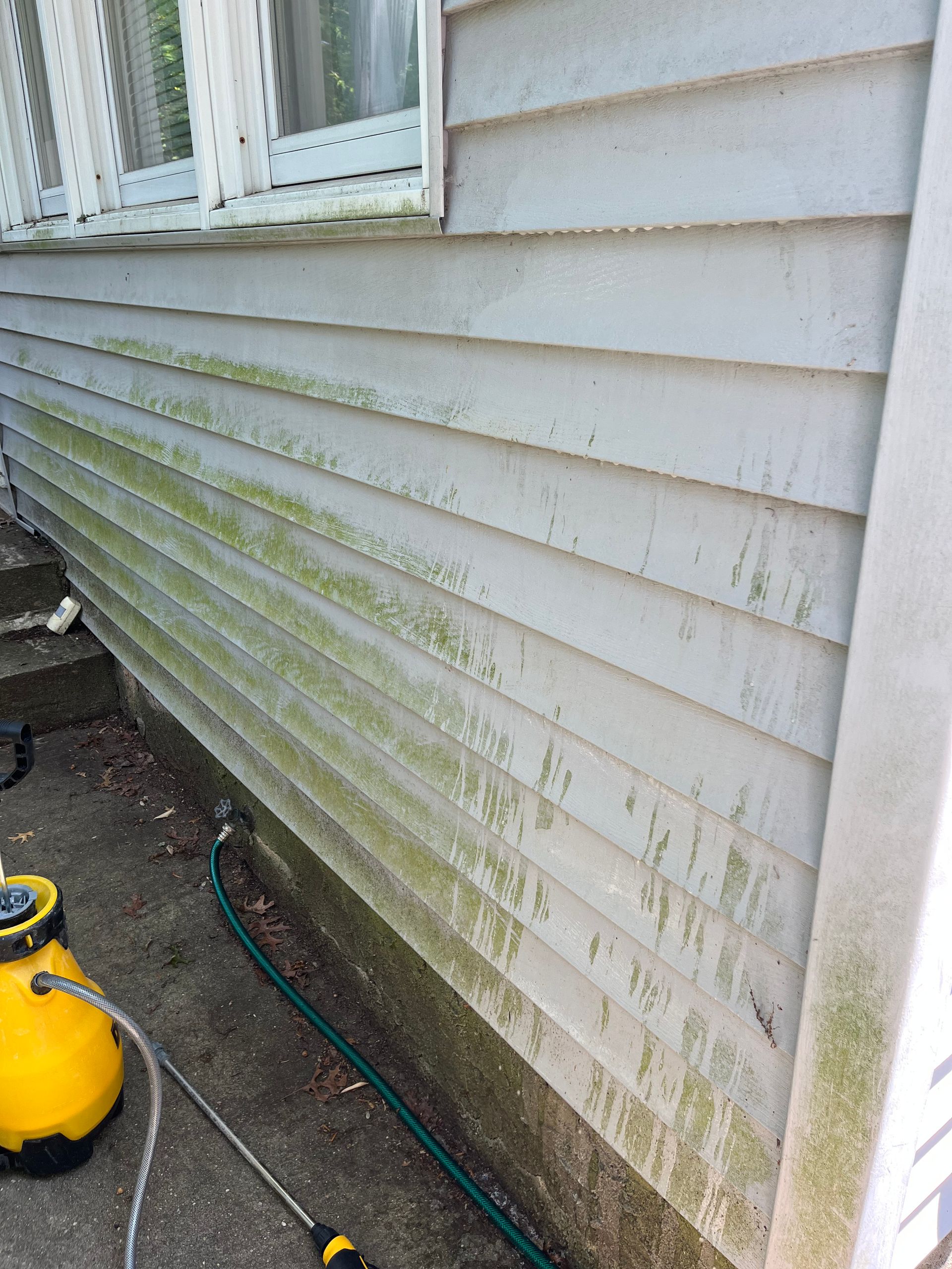 A white house with green algae on the side of it.