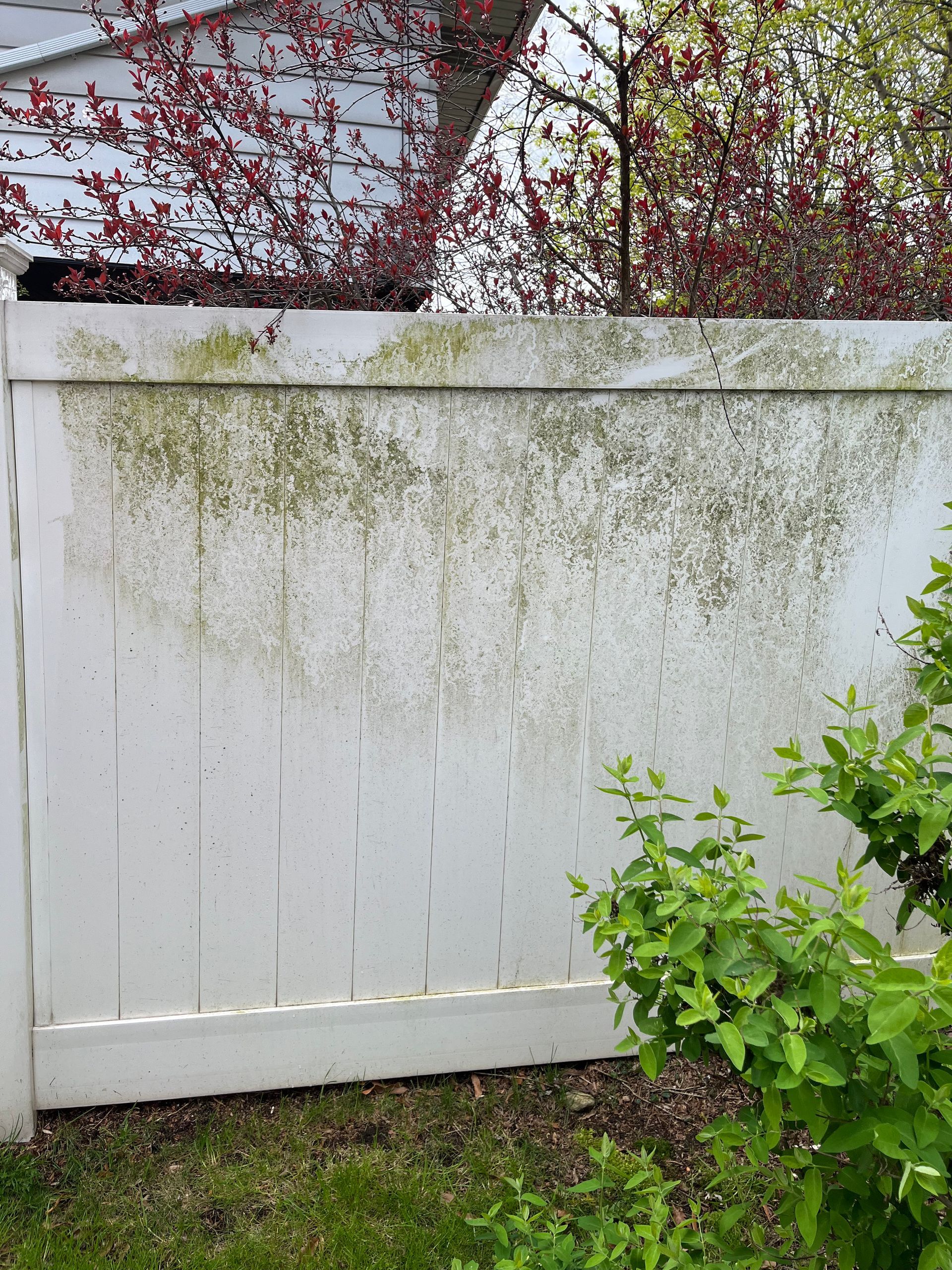 A white fence with green moss growing on it.