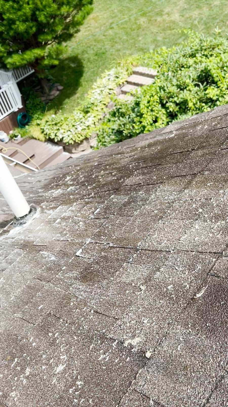 A roof with a lot of moss on it and a lawn in the background.