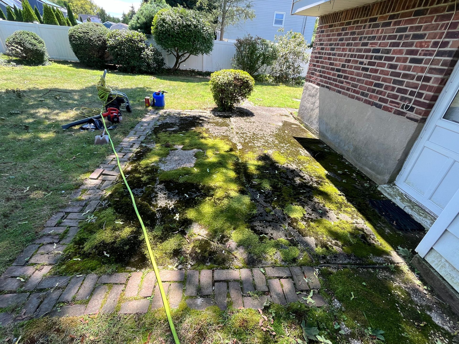 A brick walkway in a backyard with moss growing on it.