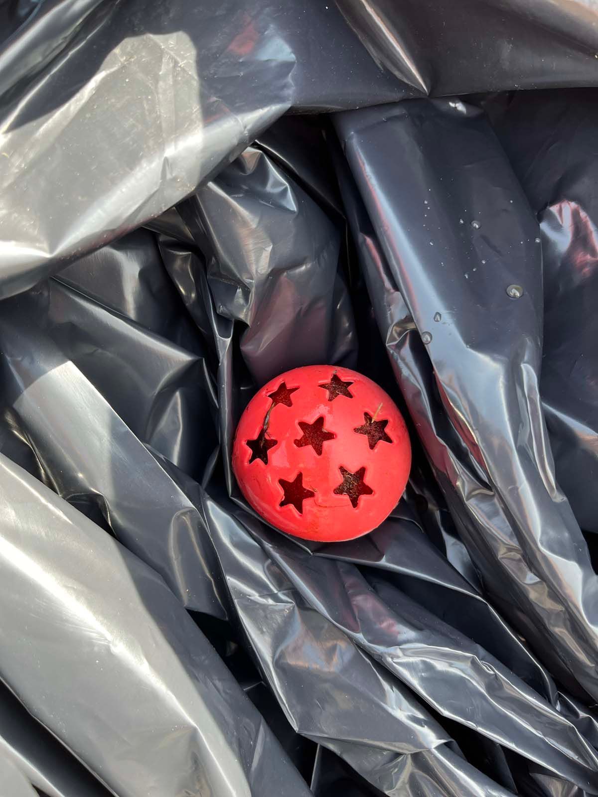 A red ball with stars on it is in a plastic bag
