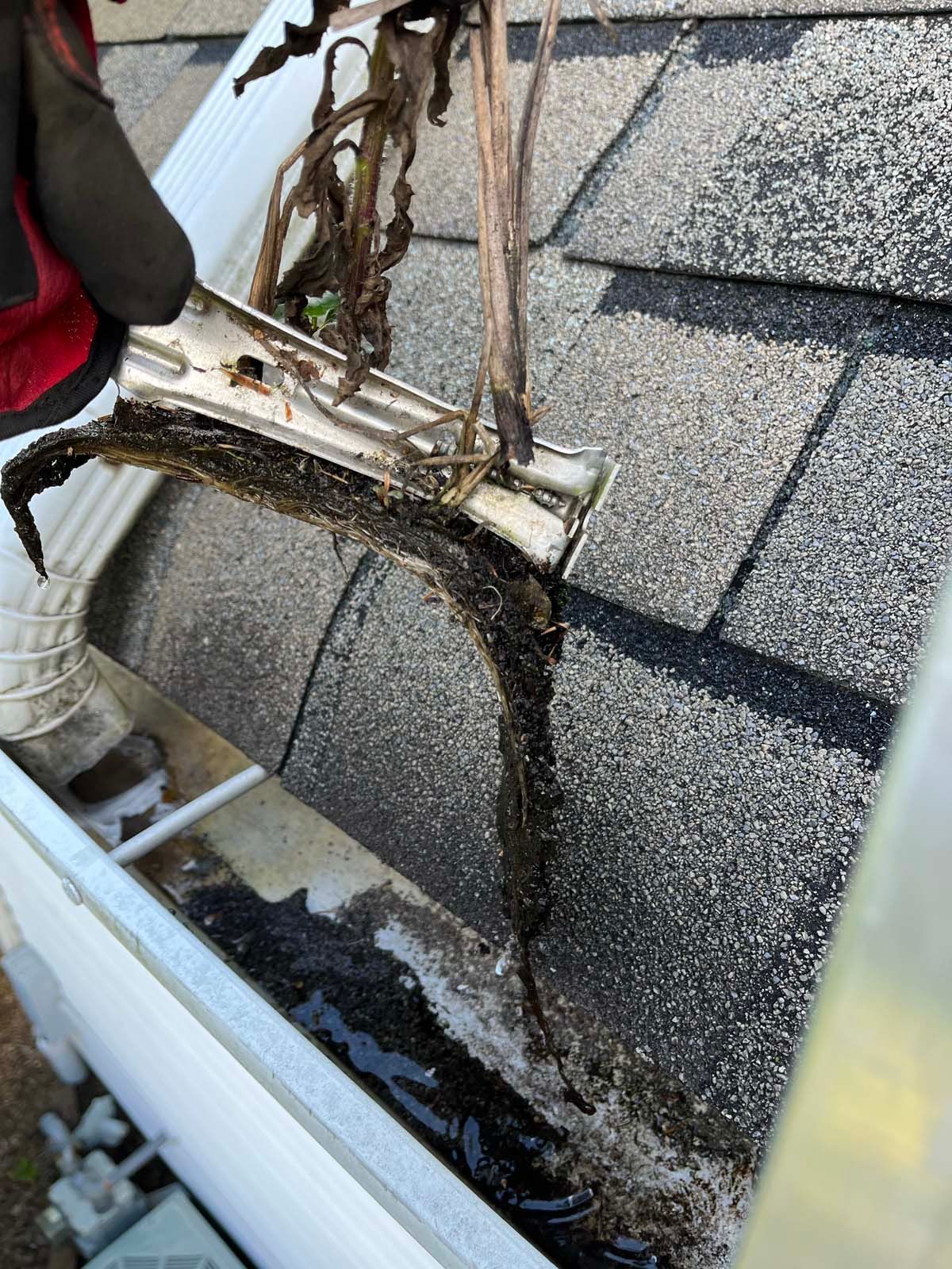 A person is cleaning a gutter on a roof with a hose.