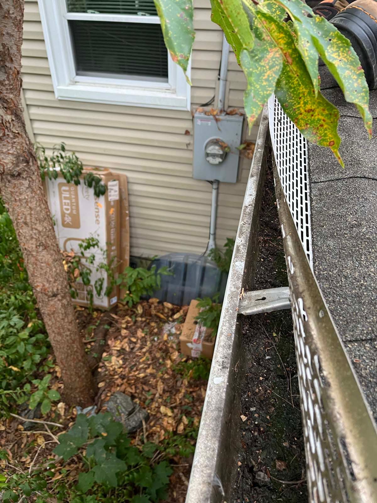 A house with a gutter on the side of it next to a tree.
