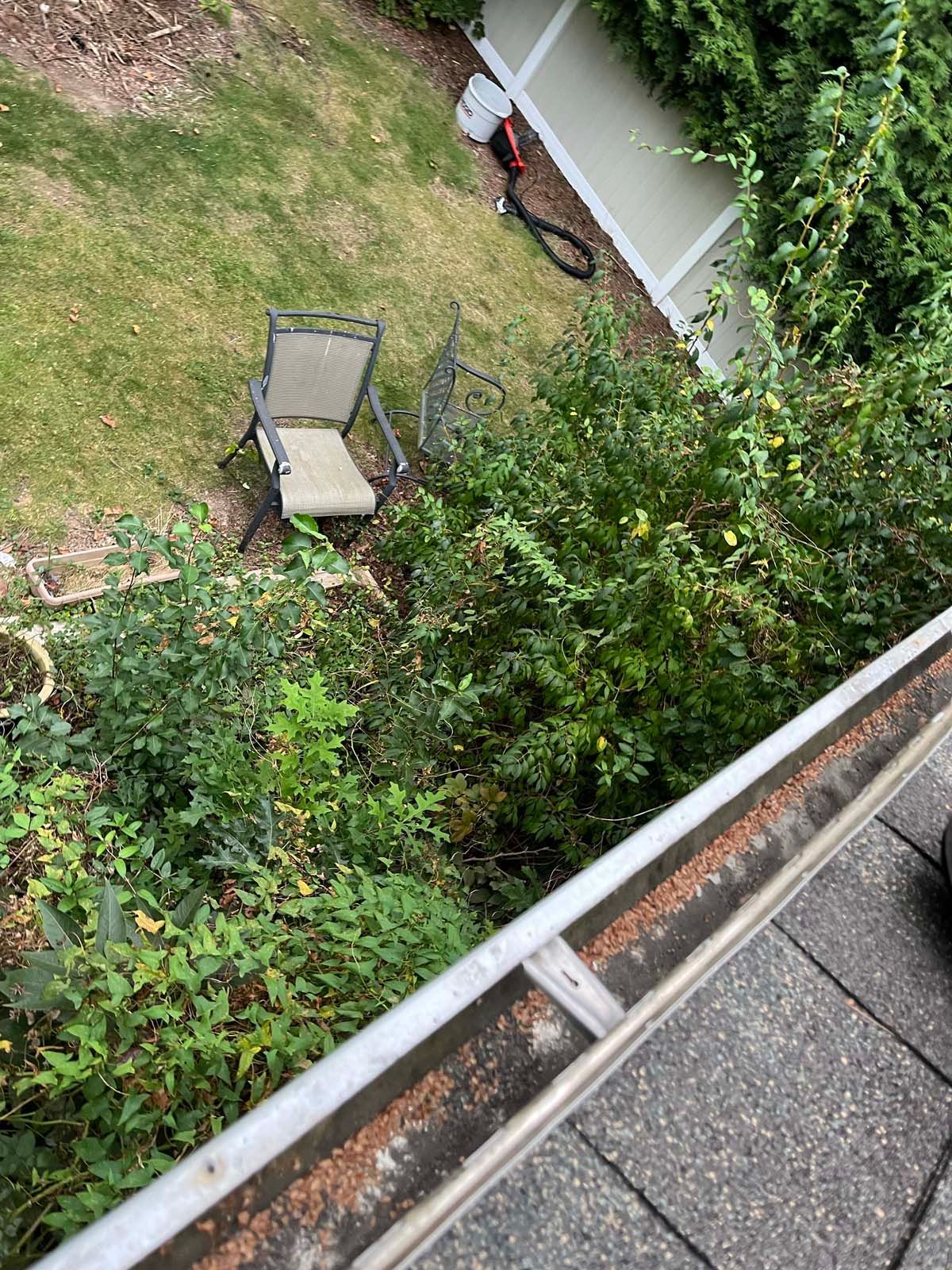 A chair is sitting in the middle of a lush green yard.