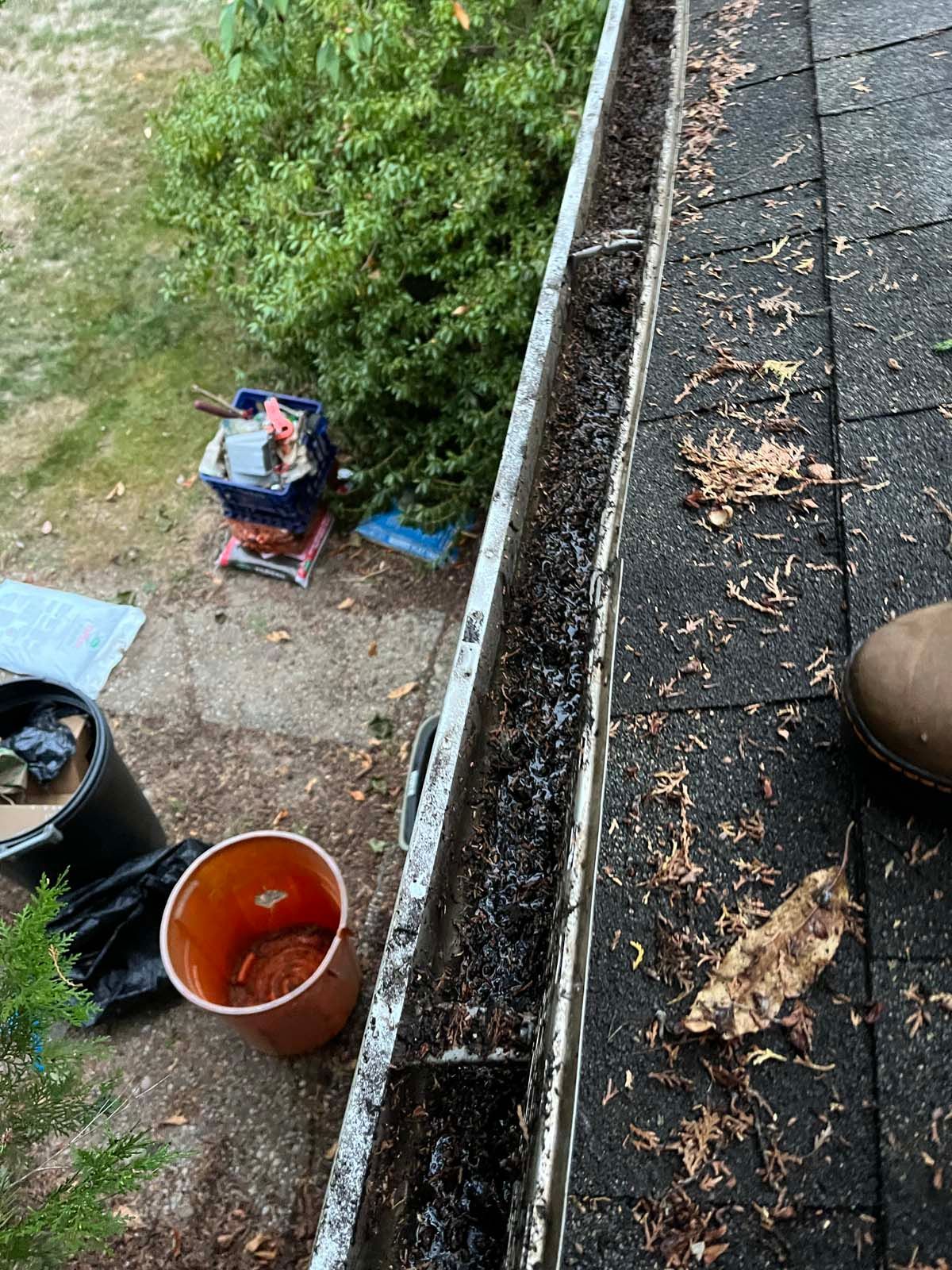 A person is standing next to a gutter with leaves on it.