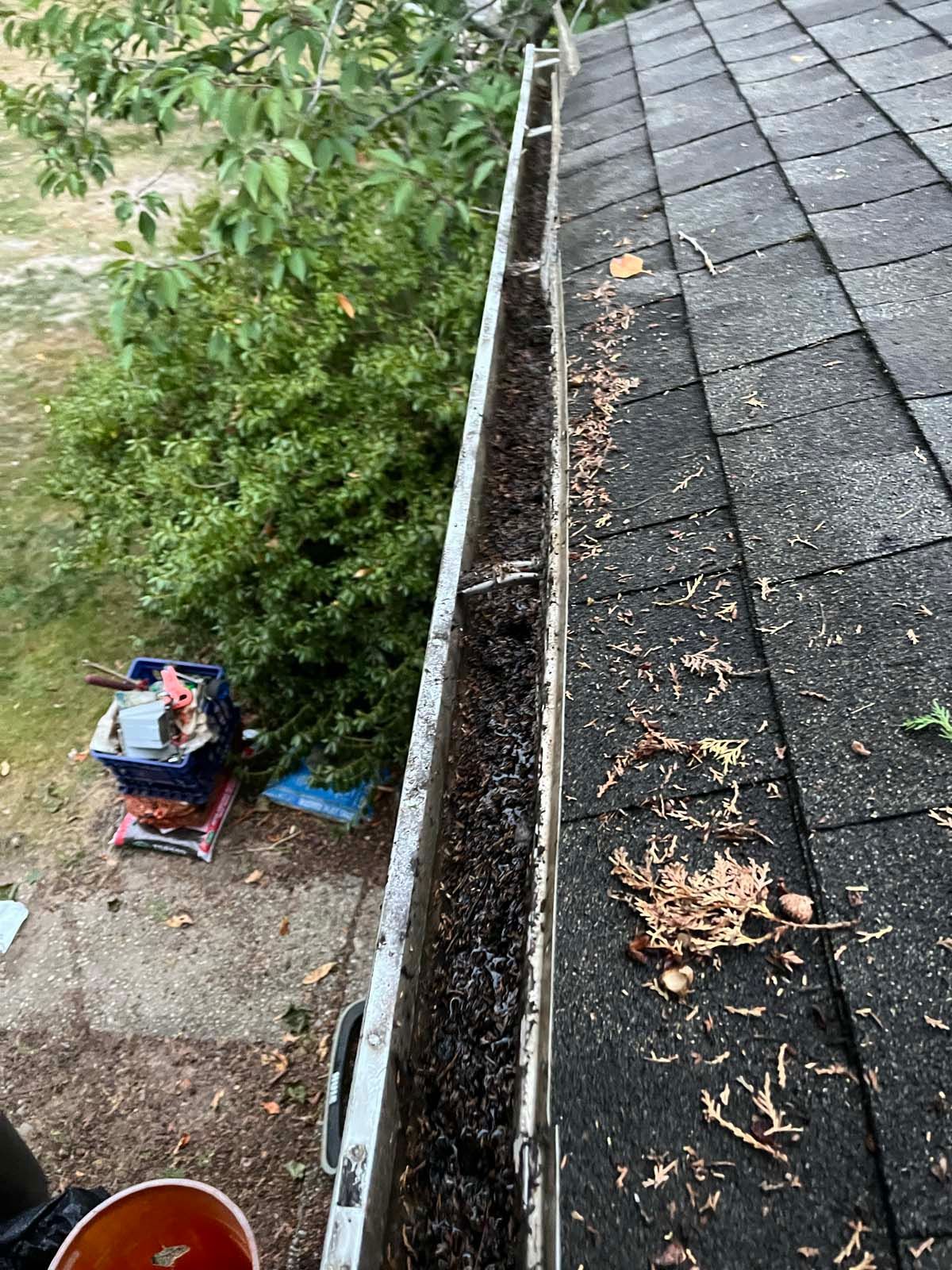 A gutter with leaves on it is sitting on top of a roof.