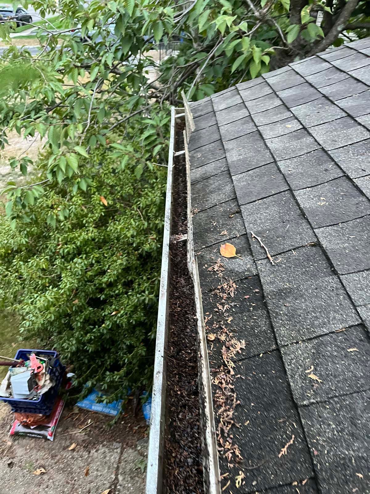 A gutter is sitting on top of a roof next to a tree.