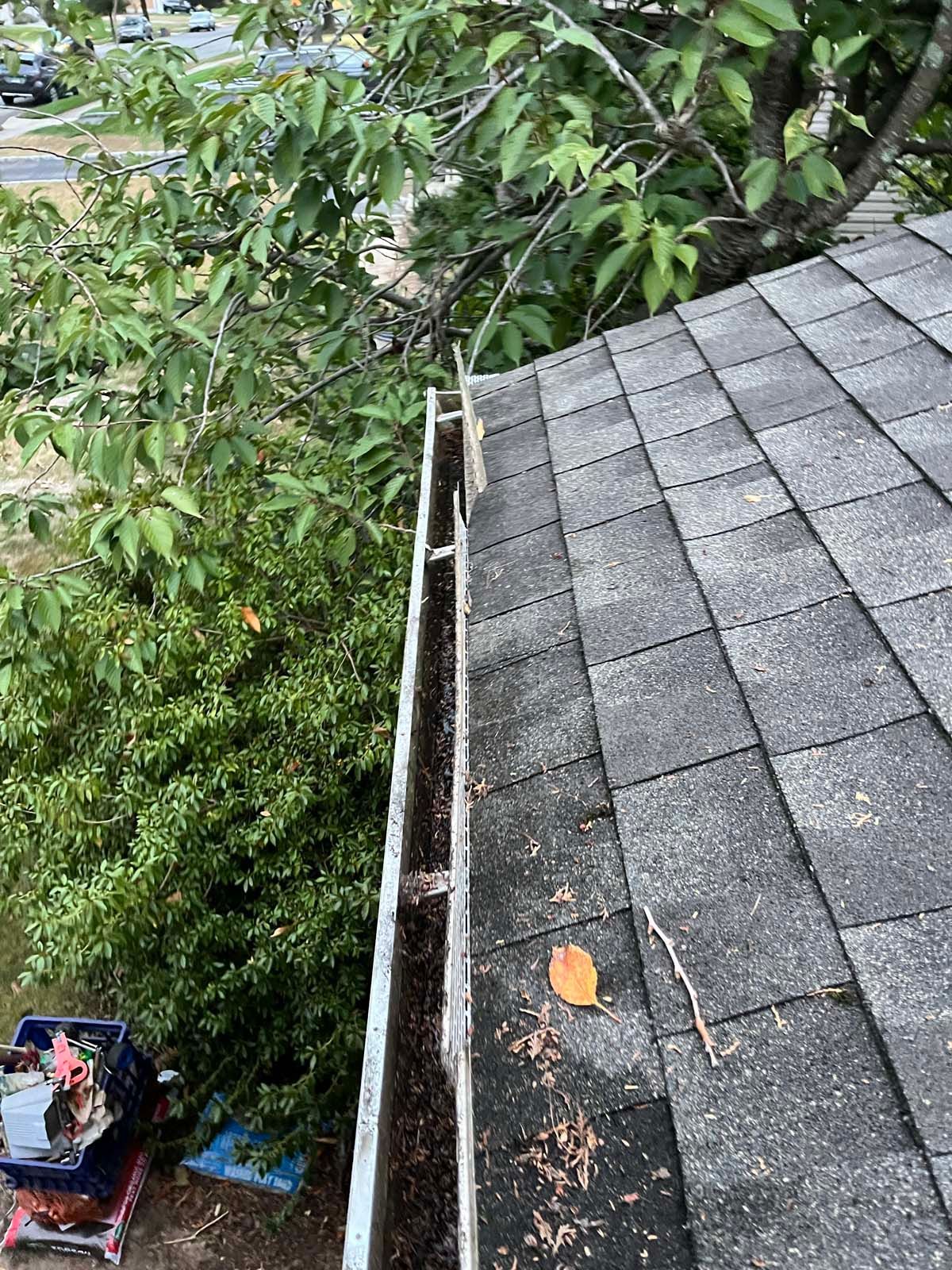A gutter is sitting on top of a roof next to a tree.