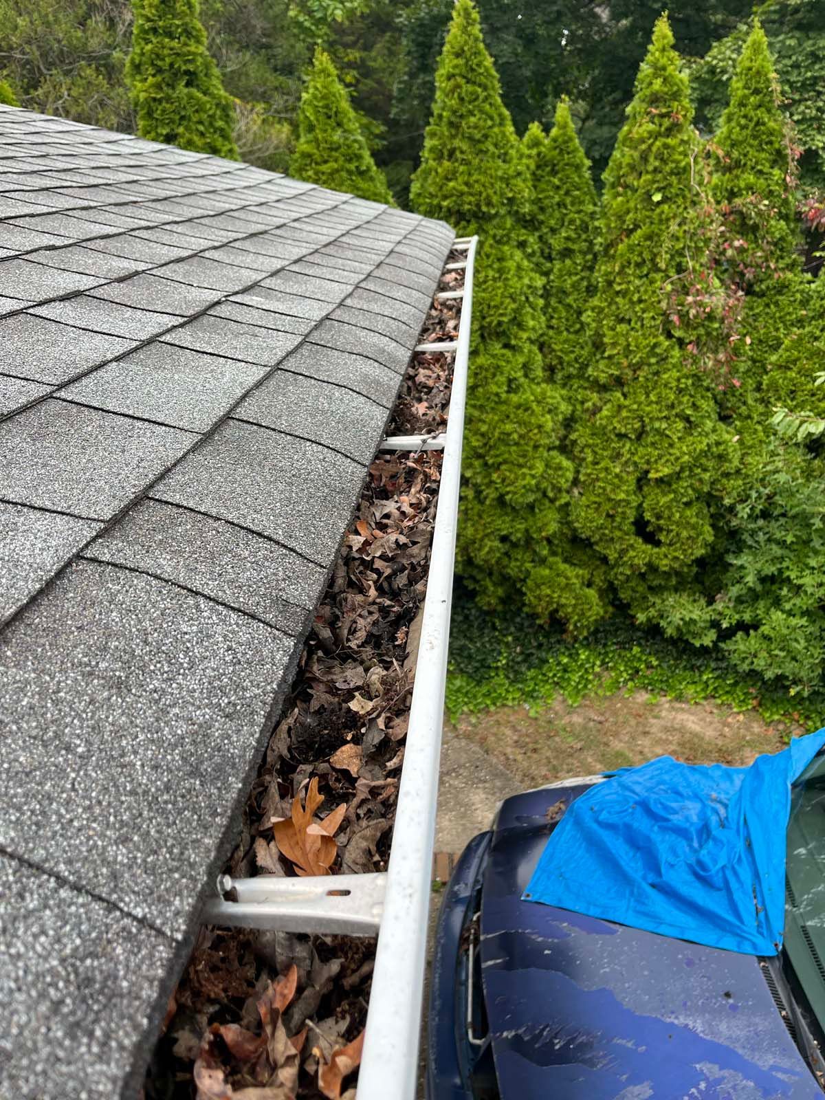 A gutter filled with leaves is sitting on top of a roof next to a car.